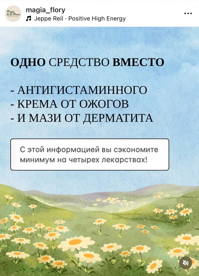 Акварельные ромашки