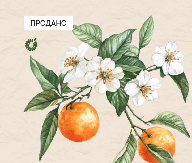 Цветы и цитрусы